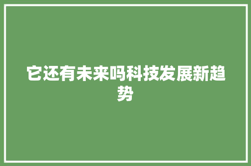 它还有未来吗科技发展新趋势 必应SEO