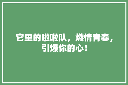 它里的啦啦队，燃情青春，引爆你的心！ 必应SEO