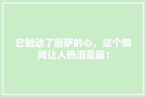 它触动了丽萨的心，这个瞬间让人热泪盈眶！