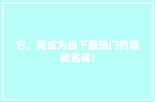 它，竟成为当下最热门的爆款名词！ 神马SEO
