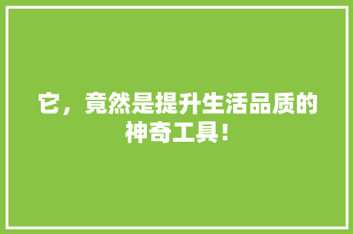它，竟然是提升生活品质的神奇工具！