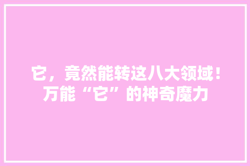 它，竟然能转这八大领域！万能“它”的神奇魔力 搜狗SEO