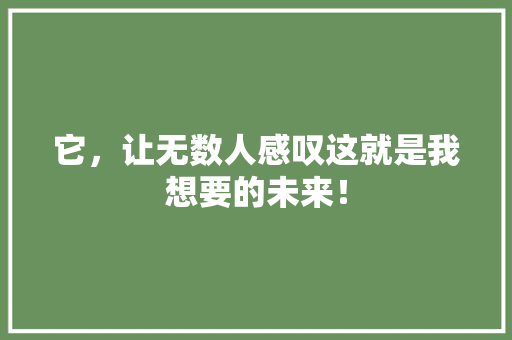 它，让无数人感叹这就是我想要的未来！ 百度SEO