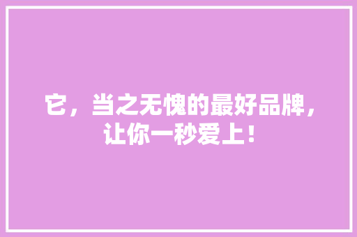 它，当之无愧的最好品牌，让你一秒爱上！ 百度SEO