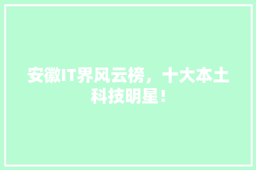 安徽IT界风云榜，十大本土科技明星！ SEO关键词