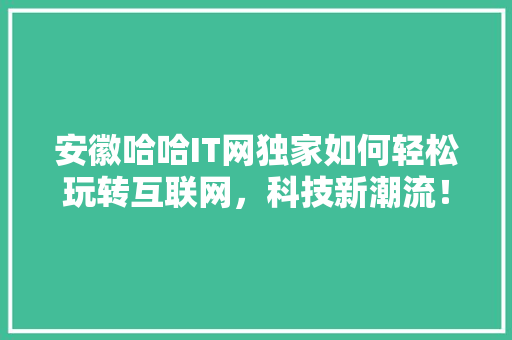 安徽哈哈IT网独家如何轻松玩转互联网，科技新潮流！ 网站建设公司