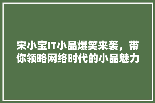 宋小宝IT小品爆笑来袭，带你领略网络时代的小品魅力！ 网站建设公司