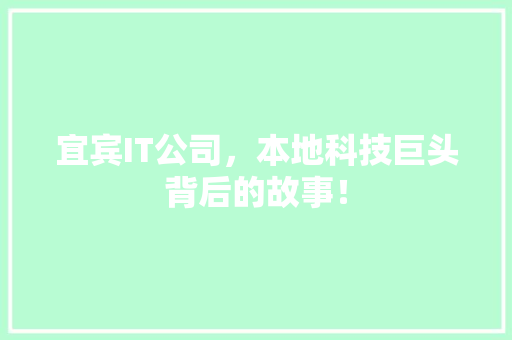 宜宾IT公司，本地科技巨头背后的故事！ 必应SEO