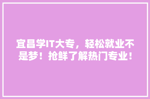 宜昌学IT大专，轻松就业不是梦！抢鲜了解热门专业！ SEO关键词