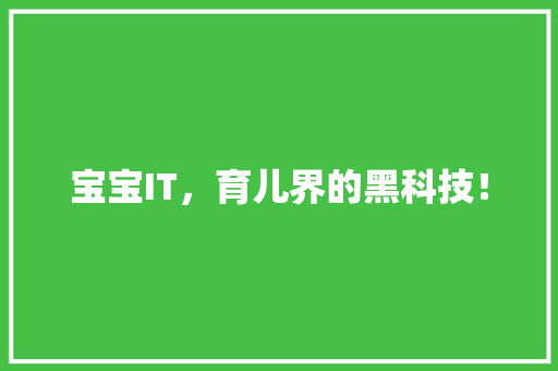 宝宝IT，育儿界的黑科技！ 百度SEO
