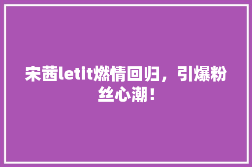 宋茜letit燃情回归，引爆粉丝心潮！ 网站建设公司