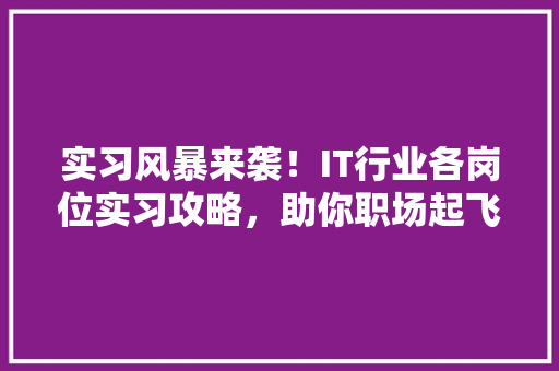 实习风暴来袭！IT行业各岗位实习攻略，助你职场起飞 SEO关键词