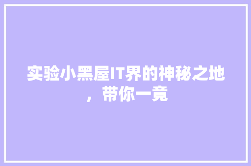 实验小黑屋IT界的神秘之地，带你一竟 网站建设公司