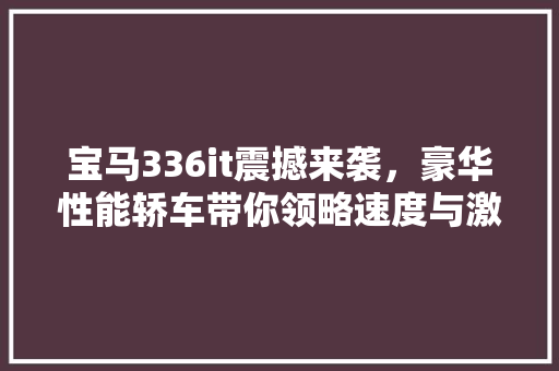 宝马336it震撼来袭，豪华性能轿车带你领略速度与激情！ 百度SEO