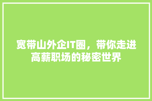 宽带山外企IT圈，带你走进高薪职场的秘密世界 百度SEO