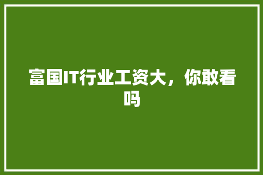 富国IT行业工资大，你敢看吗 必应SEO