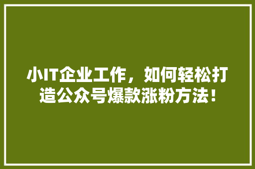 小IT企业工作，如何轻松打造公众号爆款涨粉方法！ 必应SEO