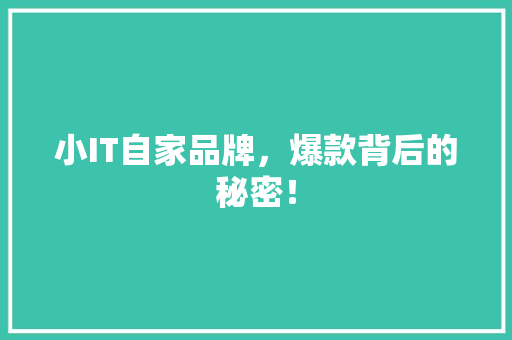 小IT自家品牌，爆款背后的秘密！ 神马SEO