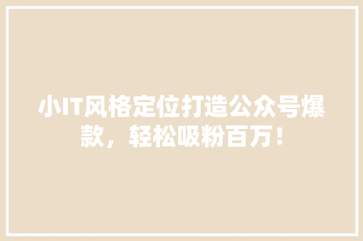 小IT风格定位打造公众号爆款，轻松吸粉百万！ 必应SEO