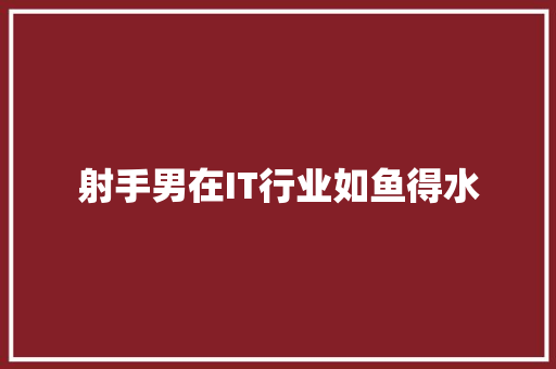 射手男在IT行业如鱼得水 神马SEO