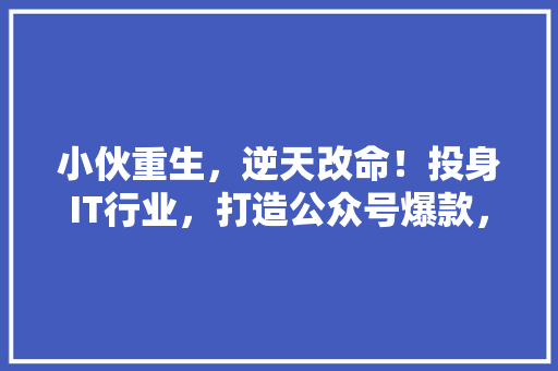 小伙重生，逆天改命！投身IT行业，打造公众号爆款，一路逆袭！ SEO关键词