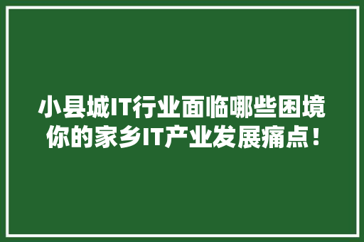 小县城IT行业面临哪些困境你的家乡IT产业发展痛点！ 神马SEO