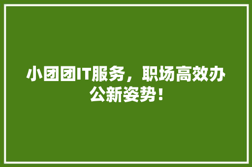 小团团IT服务，职场高效办公新姿势！