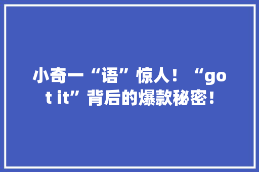 小奇一“语”惊人！“got it”背后的爆款秘密！ 网站建设公司