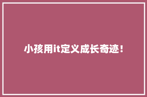小孩用it定义成长奇迹！ 百度SEO