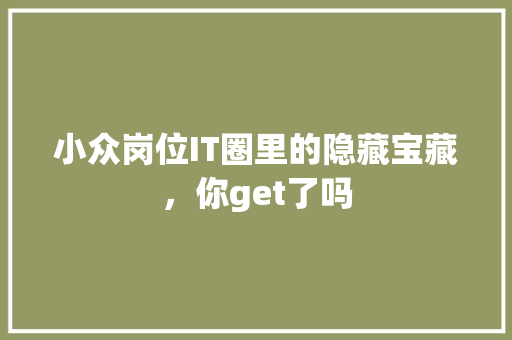 小众岗位IT圈里的隐藏宝藏，你get了吗 搜狗SEO