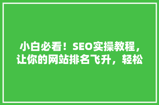 小白必看！SEO实操教程，让你的网站排名飞升，轻松获取海量流量 网站建设公司