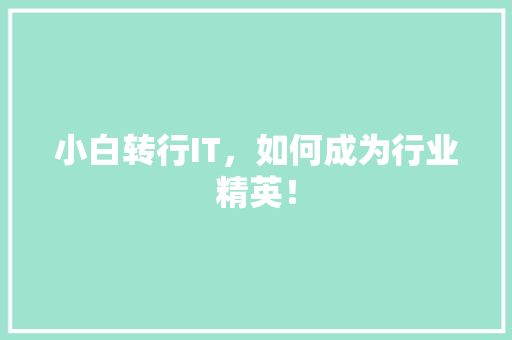 小白转行IT，如何成为行业精英！ 百度SEO