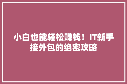 小白也能轻松赚钱！IT新手接外包的绝密攻略 百度SEO