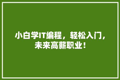 小白学IT编程，轻松入门，未来高薪职业！