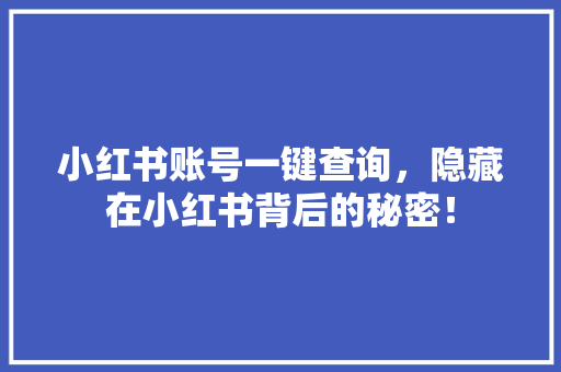 小红书账号一键查询，隐藏在小红书背后的秘密！ 网站建设公司