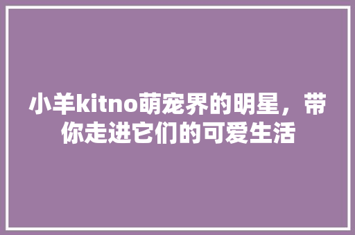 小羊kitno萌宠界的明星，带你走进它们的可爱生活 网站建设公司