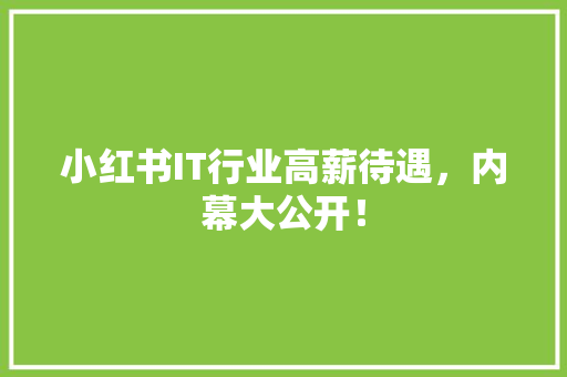 小红书IT行业高薪待遇，内幕大公开！ 百度SEO