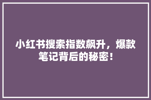 小红书搜索指数飙升，爆款笔记背后的秘密！ 百度SEO
