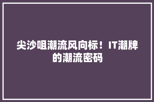 尖沙咀潮流风向标！IT潮牌的潮流密码 百度SEO