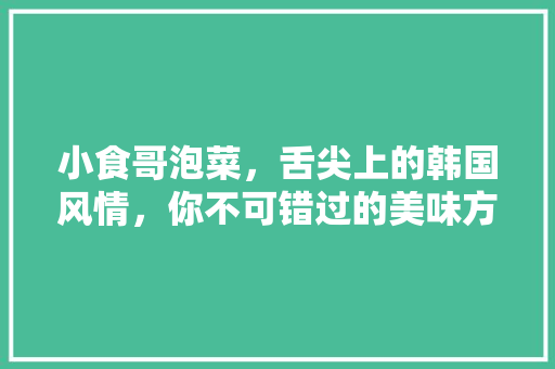 小食哥泡菜，舌尖上的韩国风情，你不可错过的美味方法！ 搜狗SEO