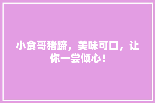 小食哥猪蹄，美味可口，让你一尝倾心！ 搜狗SEO