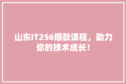 山东IT256爆款课程，助力你的技术成长！ 必应SEO