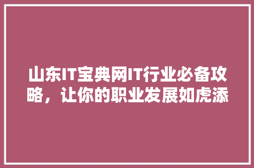 山东IT宝典网IT行业必备攻略，让你的职业发展如虎添翼！ SEO关键词