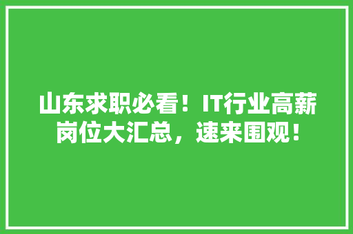 山东求职必看！IT行业高薪岗位大汇总，速来围观！ 神马SEO