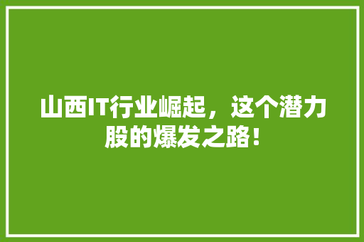 山西IT行业崛起，这个潜力股的爆发之路！ 百度SEO