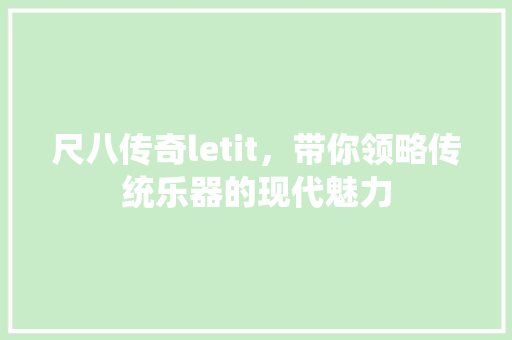 尺八传奇letit，带你领略传统乐器的现代魅力 网站建设公司