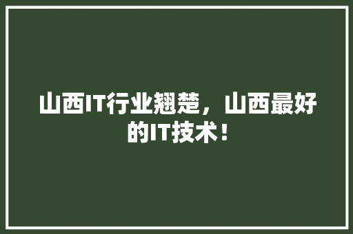 山西IT行业翘楚，山西最好的IT技术！ 神马SEO