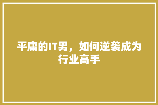 平庸的IT男，如何逆袭成为行业高手 SEO关键词