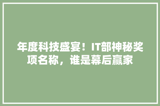 年度科技盛宴！IT部神秘奖项名称，谁是幕后赢家 SEO关键词