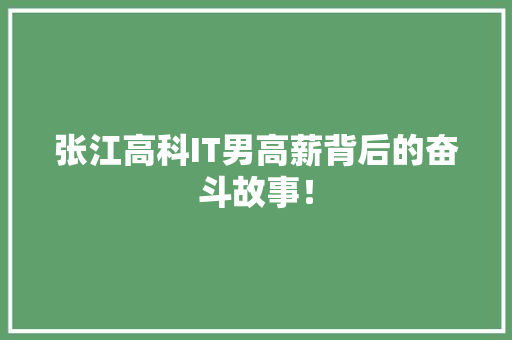 张江高科IT男高薪背后的奋斗故事！ 网站建设公司